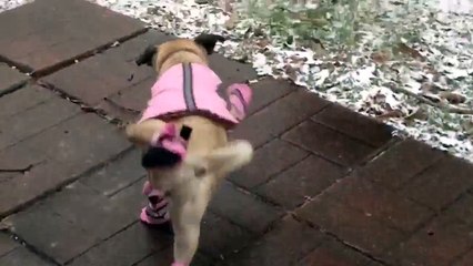 çok komik olmuş bunlar