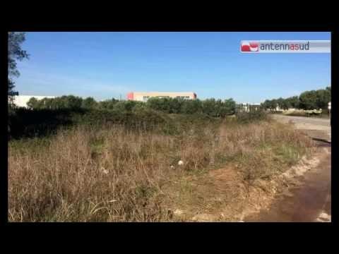 TGSRVnov07 incidenti stradali 4 morti