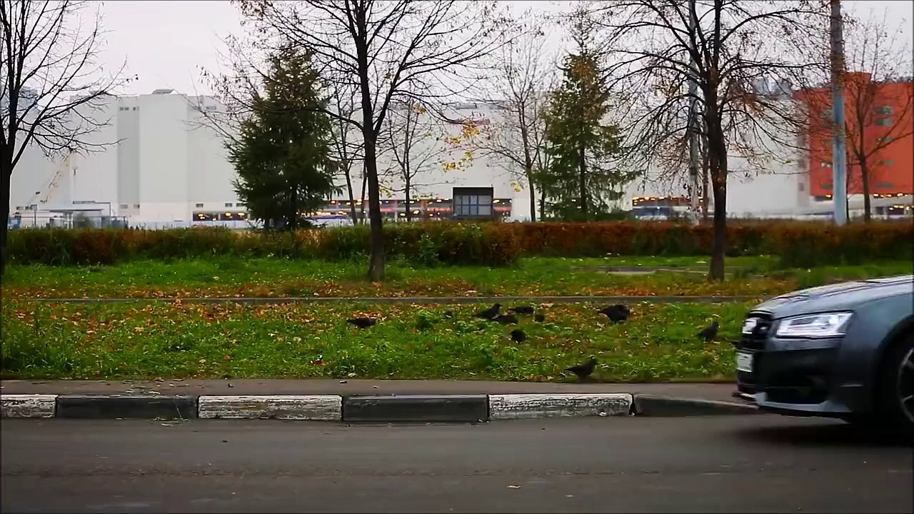 Farlar Muhteşem Olmuş ! Kesinlikle İzleyin Bizde Arabaya Biniyoruz Diyoruz -