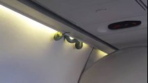 Cobra aparece em avião e causa pânico em voo no México