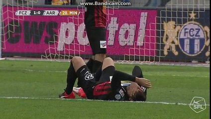 FC Zürich vs FC Aarau 6-3 Full Highlights & All Goals 06-11-2016
