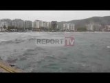 Report TV - Reshjet e shiut, det i trazuar në Vlorë