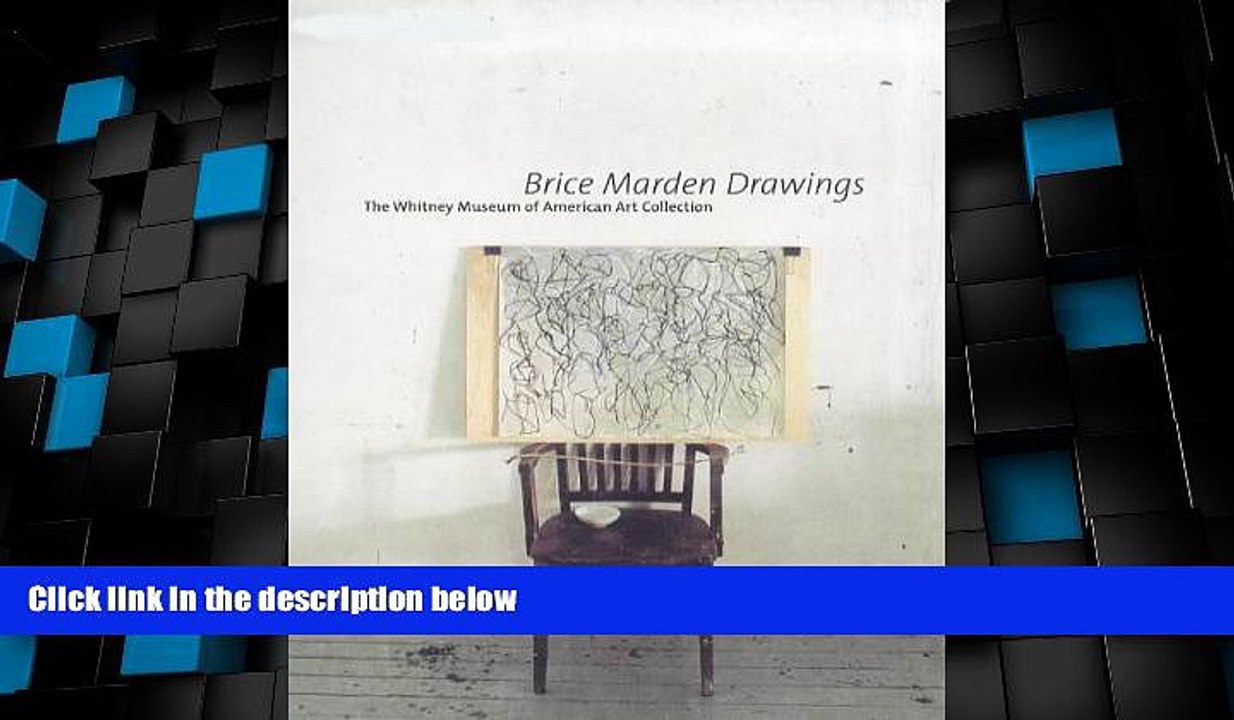 Big Deals  Brice Marden Drawings (Whitney Museum of American Art Books)  Best Seller Books Best