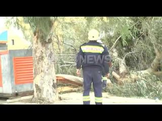 Download Video: Rrëzohen pemët në Vlorë, një mësues plagoset lehtë