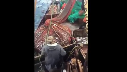 Mira la sorpresa que se llevaron estos pescadores