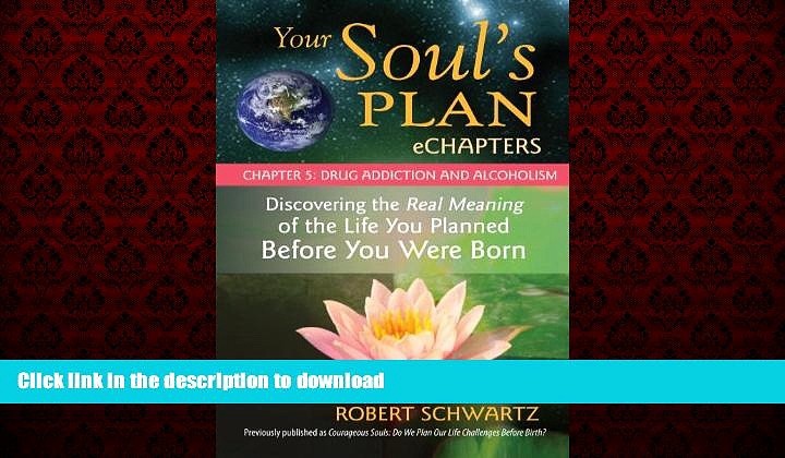 Buy books  Your Soul s Plan eChapters – Chapter 5: Drug Addiction and Alcoholism: Discovering the