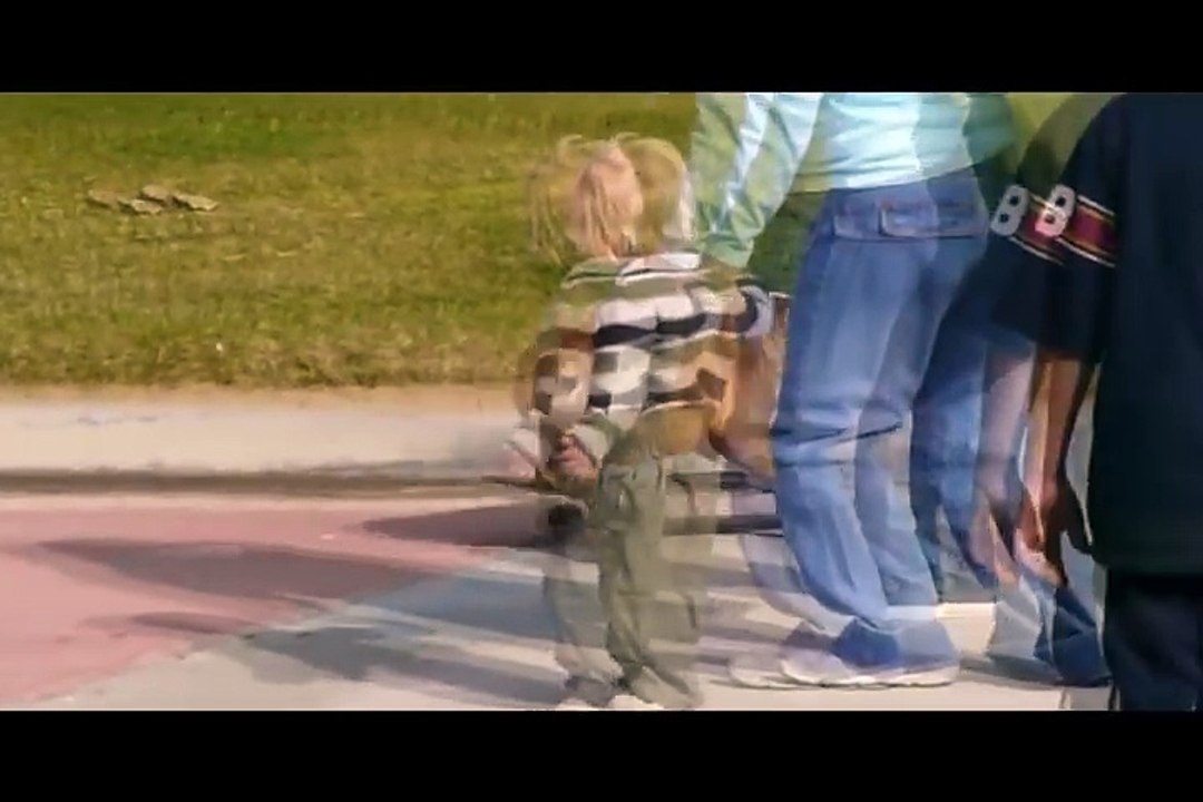 Skateboarding Dog