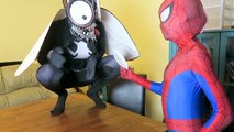 Spiderman vs Venom vs Joker vs The Fly w Frozen Elsa Batman Funny Superheroes