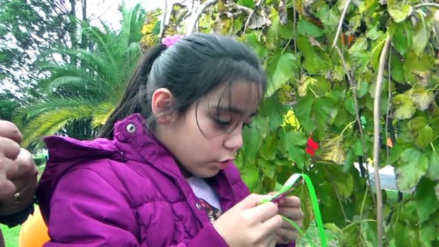 ereglionder.com.tr eregli losev umut agaci losemili cocuklar