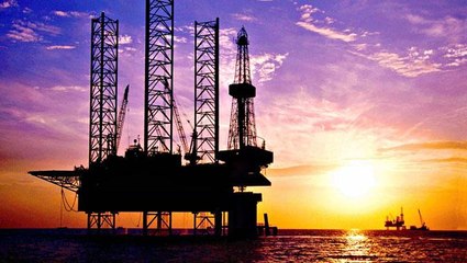 Opec warns of oil demand peak in 2029