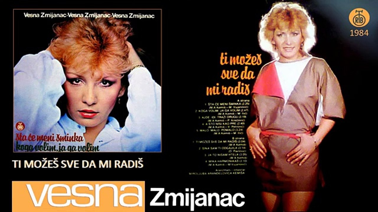 Vesna Zmijanac - Ti mozes sve da mi radis