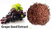 Grape Seed Cures Cancer in 24 Hours_ Research - कैंसर का इलाज 24 घंटे में करती है ये चमत्कारी औषधि