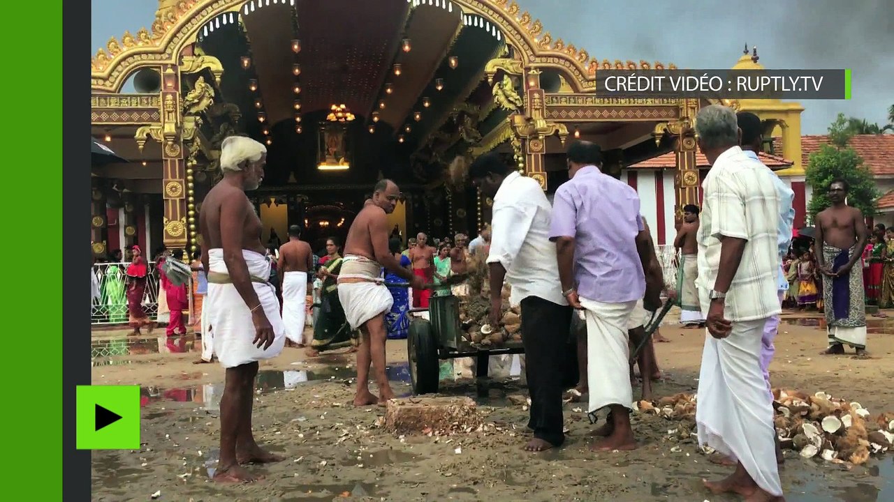 Au Sri-Lanka, les supporters d’Hillary Clinton cassent des noix de coco pour sa victoire