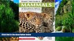 Books to Read  Stuarts  Field Guide to Mammals of Southern Africa  Best Seller Books Best Seller
