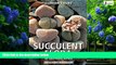 Big Deals  Succulent Flora of Southern Africa  Best Seller Books Most Wanted