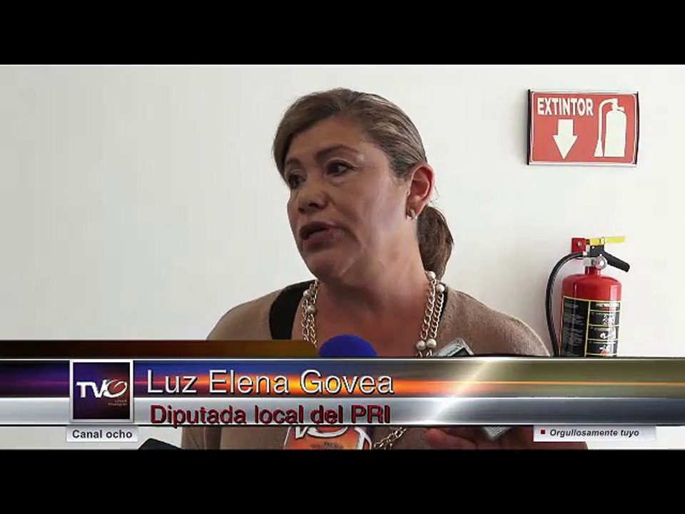 LUZ ELENA GOVEA