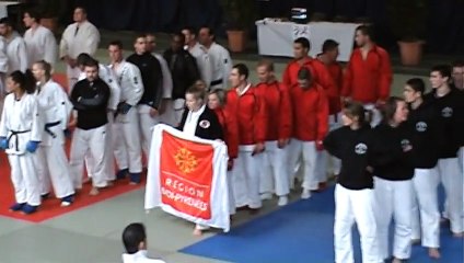 Jujitsu fighting