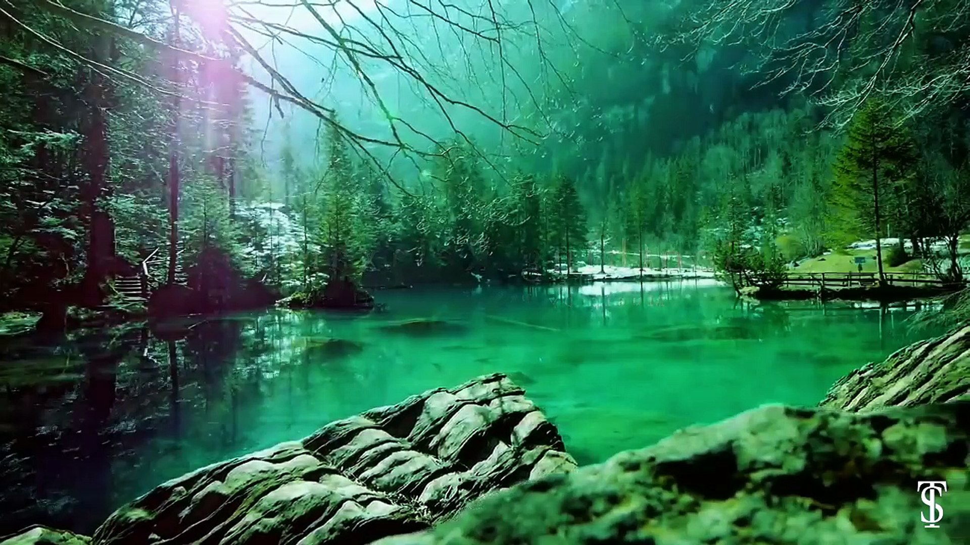 Beautiful nature - FREE Video Background Loops HD - video Dailymotion