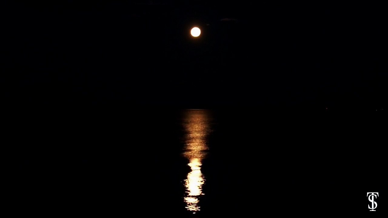 Nighttime silence - FREE Video Background Loops HD