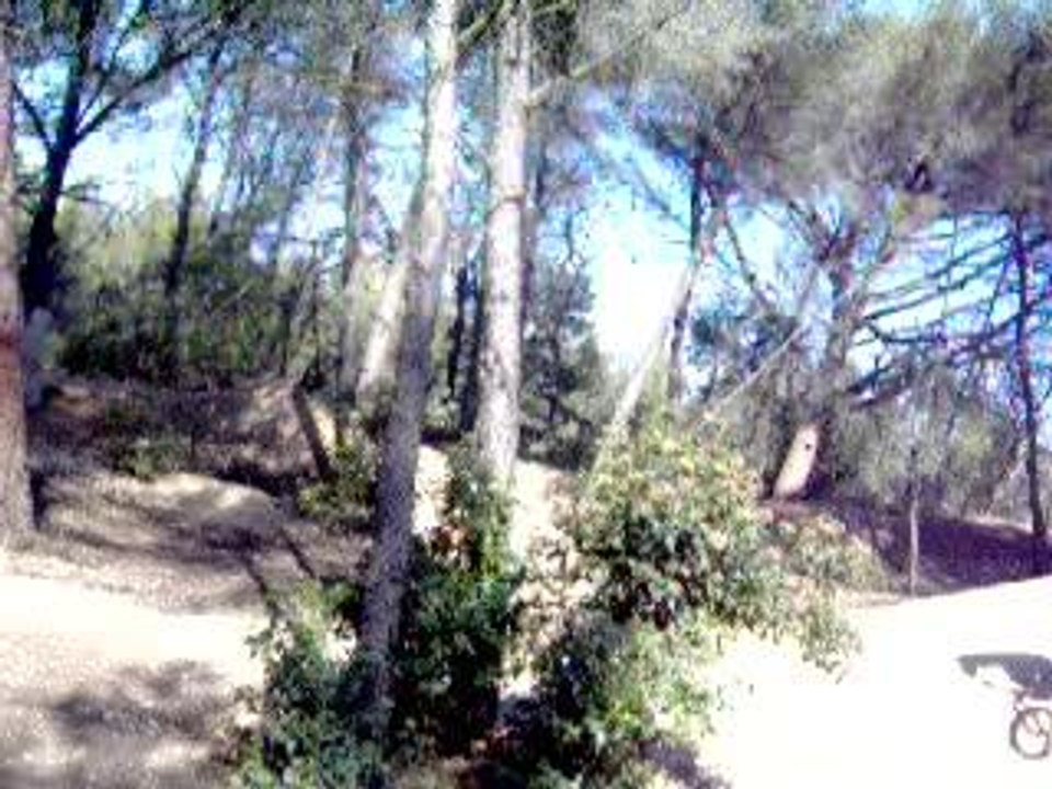 session 360