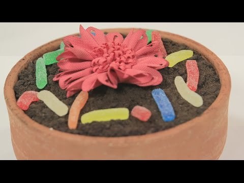 ديرت كيك | رانيا الجزار