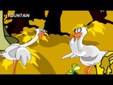 Tale Toons - The Swans And The Tortoise - Bengali