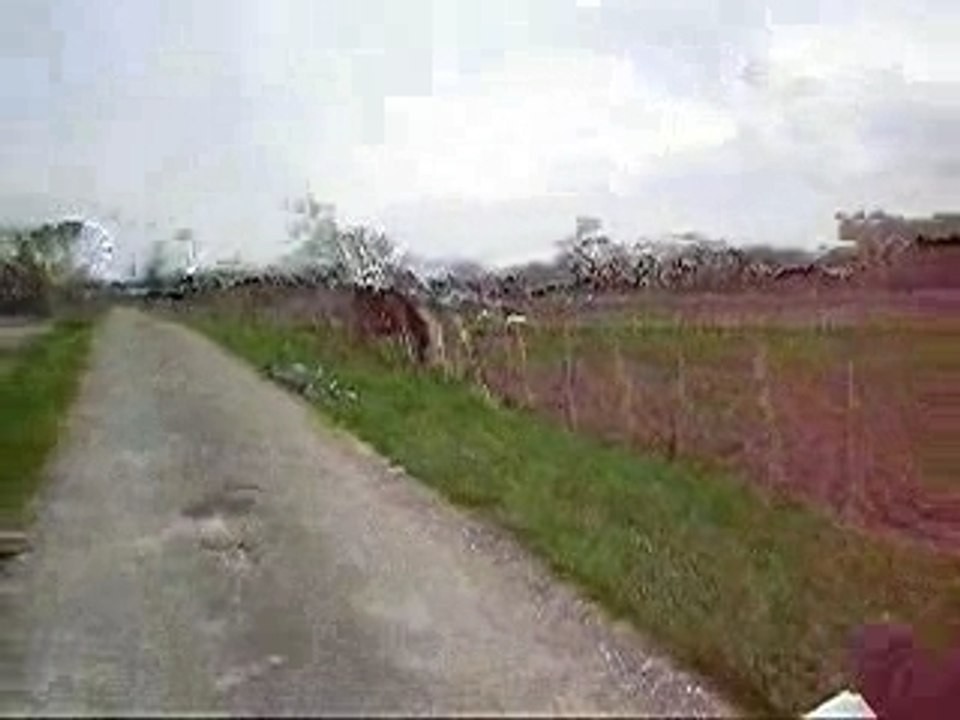 P4040428