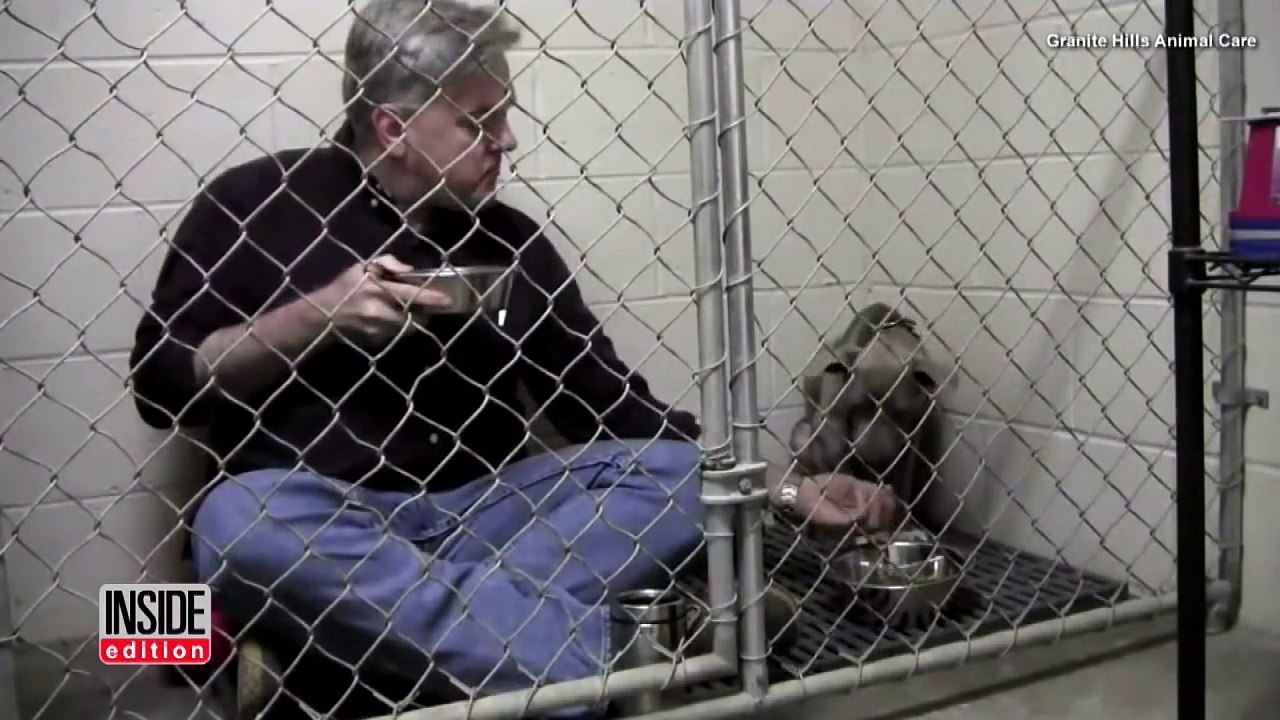 Il entre dans une cage avec un Pit Bull négligé, mais regardez bien lorsqu'il met la cuillère dans sa bouche!