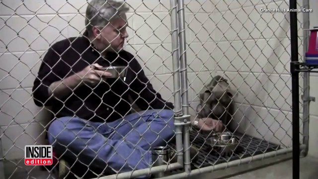 Il entre dans une cage avec un Pit Bull négligé, mais regardez bien lorsqu'il met la cuillère dans sa bouche!
