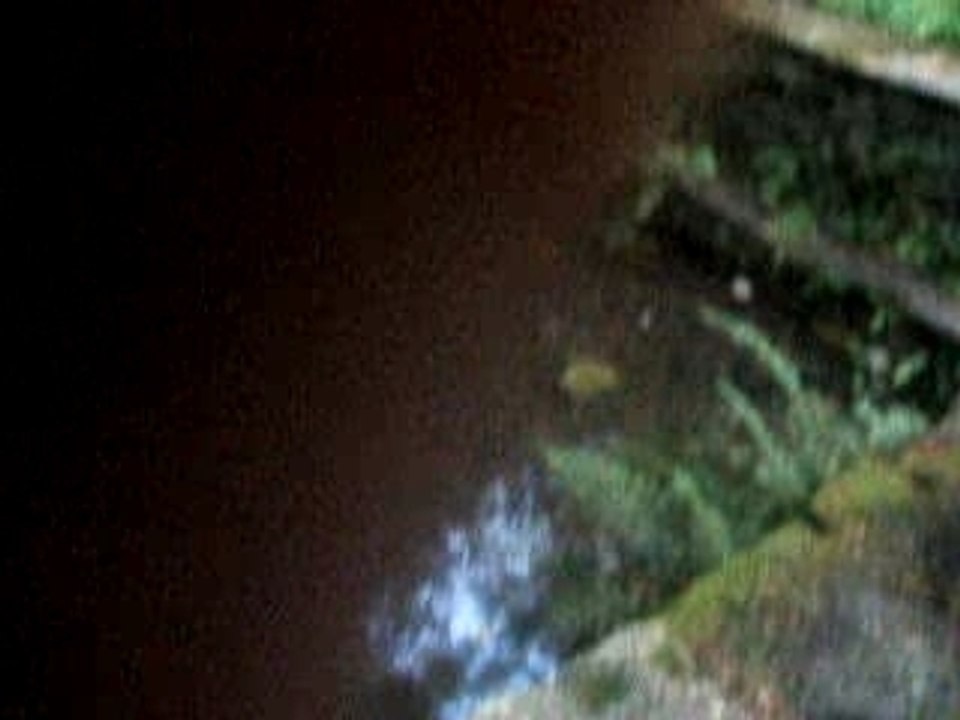 DSCF2987