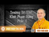 Trường Bộ Kinh Kinh Phạm Võng Phần 4 - Giảng sư Thích Thiện Xuân
