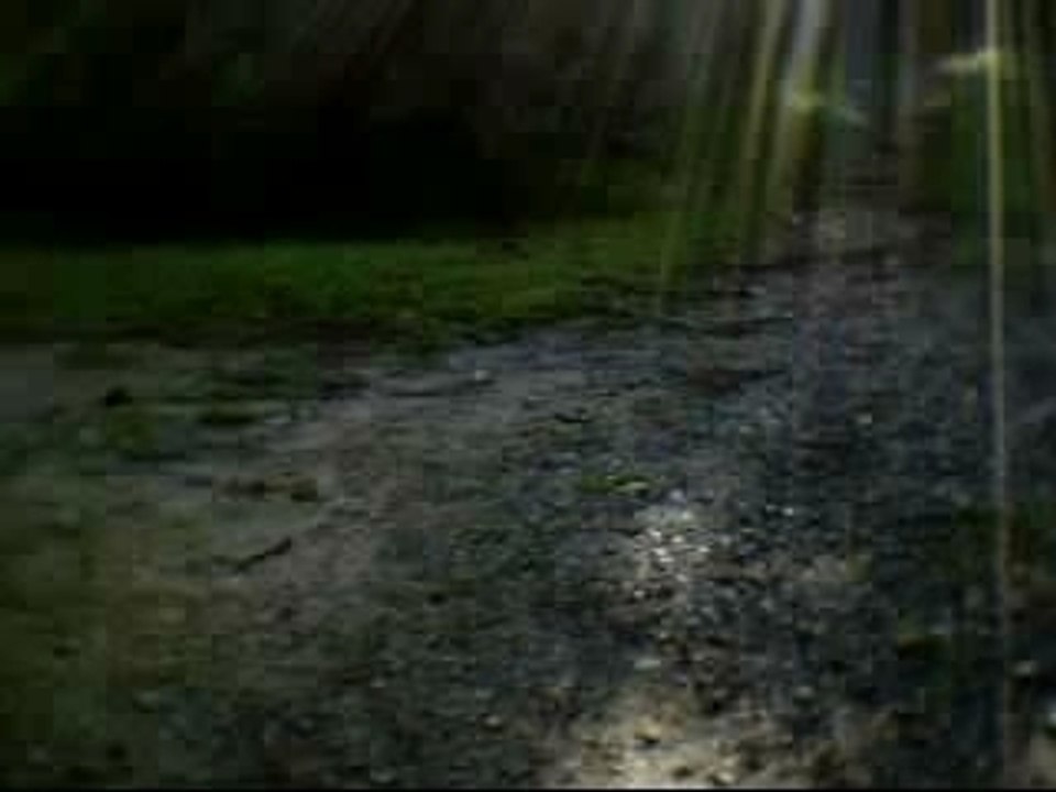 Sortie VTT en forêt de Mouliére (partie1)