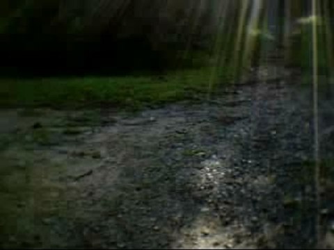 Sortie VTT en forêt de Mouliére (partie1)