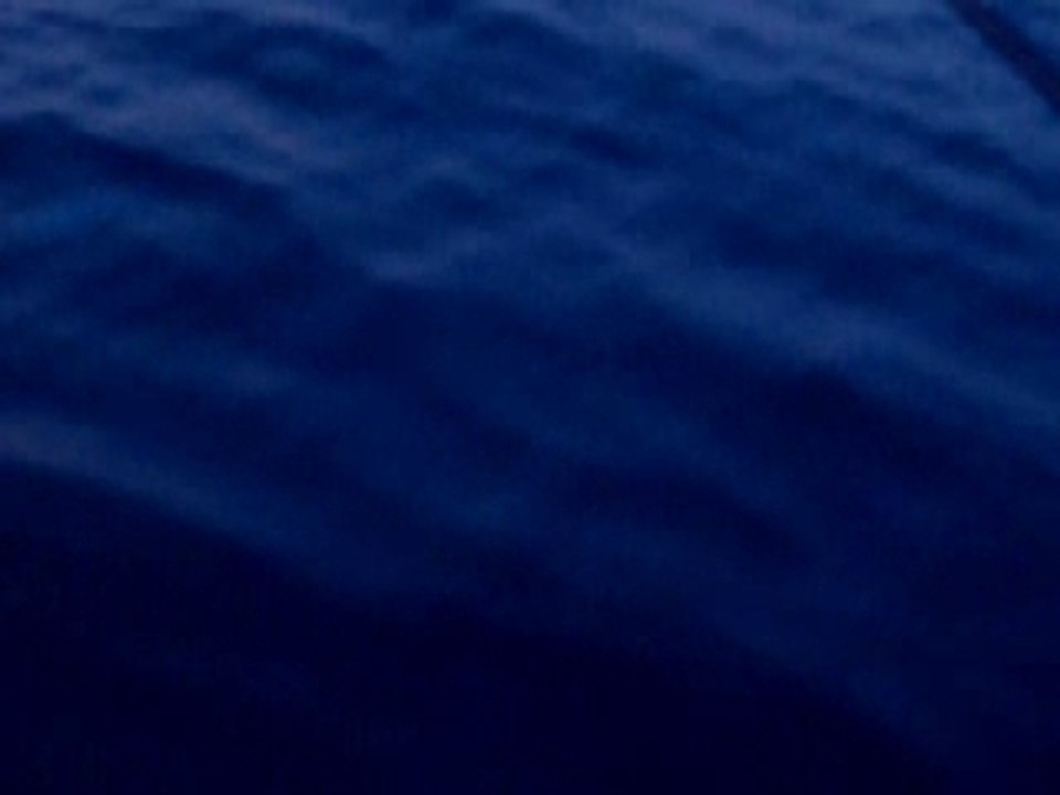 DSCF1501