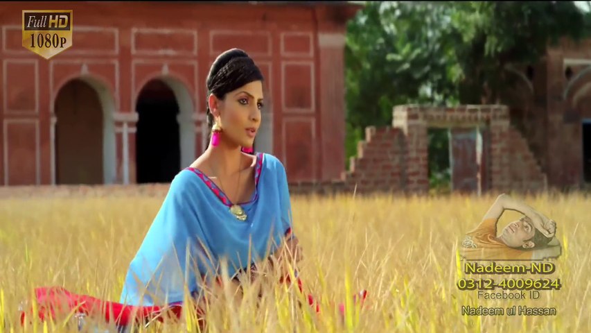 DIL DE VARKE Full HD 1080p