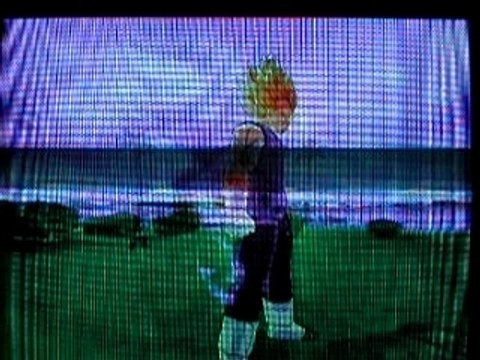 Petit combat dbz entre potes