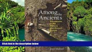 Ebook Best Deals  Among the Ancients: Adventures in the Eastern Old-Growth Forests  Buy Now