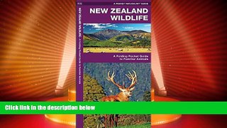 Deals in Books  New Zealand Wildlife: A Folding Pocket Guide to Familiar Animals (Pocket