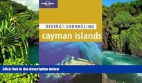 Must Have  Lonely Planet Diving   Snorkeling Cayman Islands  Buy Now