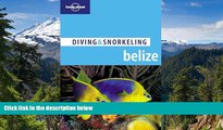 Ebook deals  Lonely Planet Diving   Snorkeling Belize  Buy Now