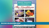 Must Have  Reef Fishes Corals and Invertebrates of the Caribbean : A Diver s Guide  Full Ebook