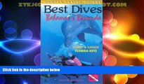 Big Sales  Best Dives of the Bahamas and Bermuda Turks and Caicos Florida Keys  Premium Ebooks