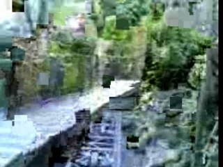 Toto Delire Indian jones