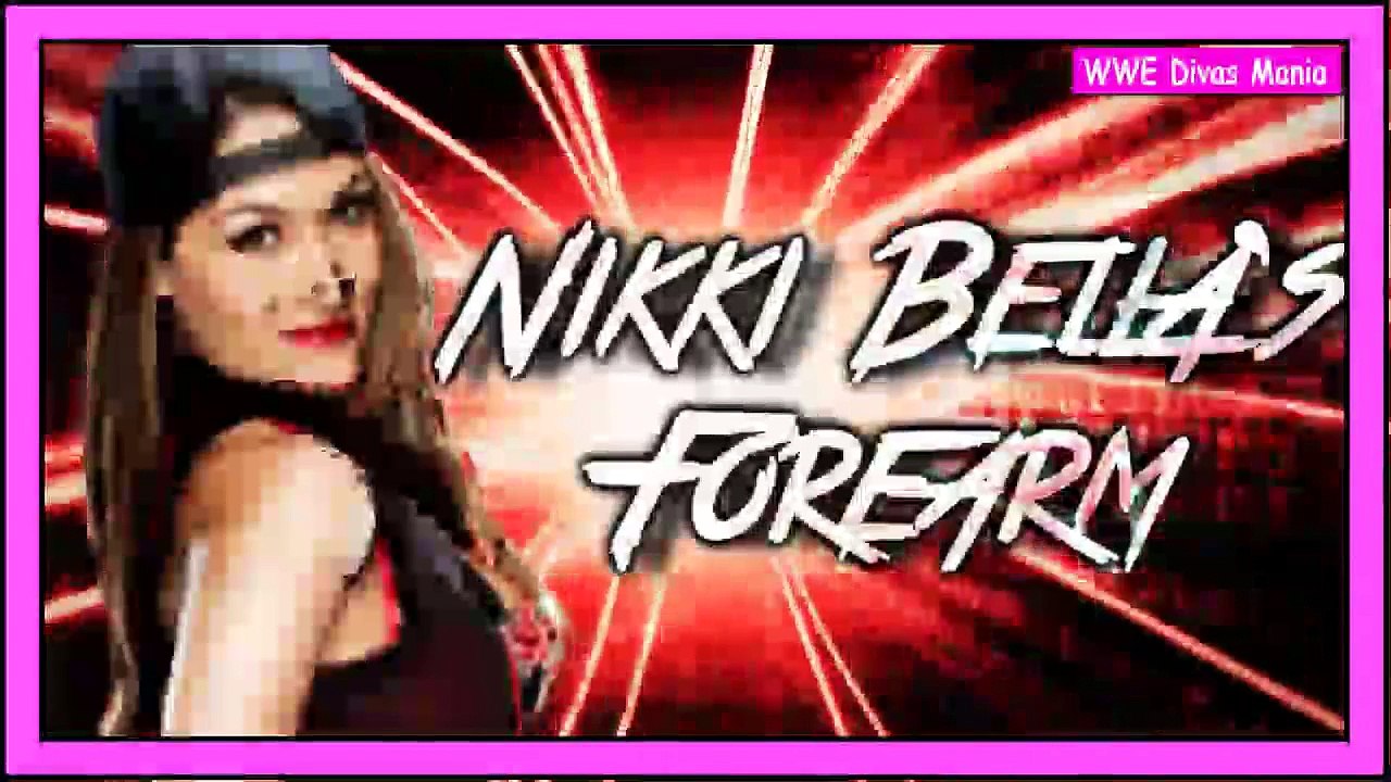 WWE Superstars Hot Divas Nikki Bella Wrestling Fights