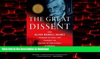Buy book  The Great Dissent: How Oliver Wendell Holmes Changed His Mind--and Changed the History