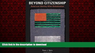 Buy book  Beyond Citizenship: American Identity After Globalization online