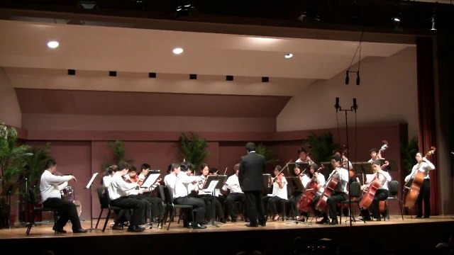 Lady Gaga Hit Mix - arr. Larry Moore (PMI 2012 String Orchestra)