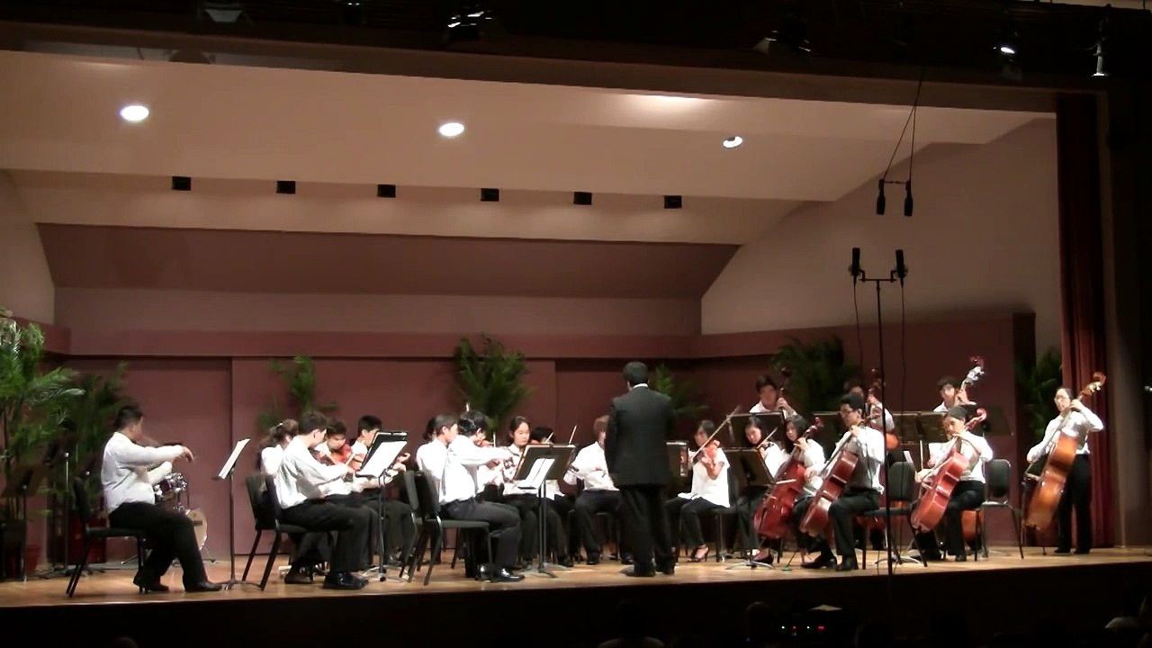 Lady Gaga Hit Mix - arr. Larry Moore (PMI 2012 String Orchestra)