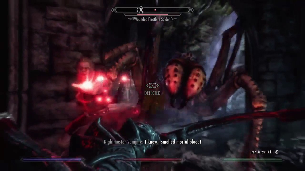 Skyrim remaster Master (20)