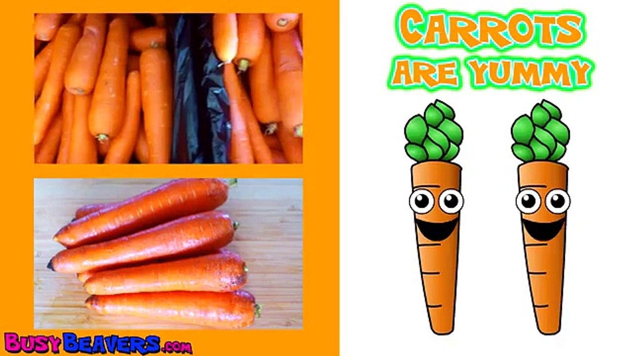 Kids 1 Hour TV Show | Busy Beavers BBTV S1 E5 & E6 | Kindergarten Kids Learning Video